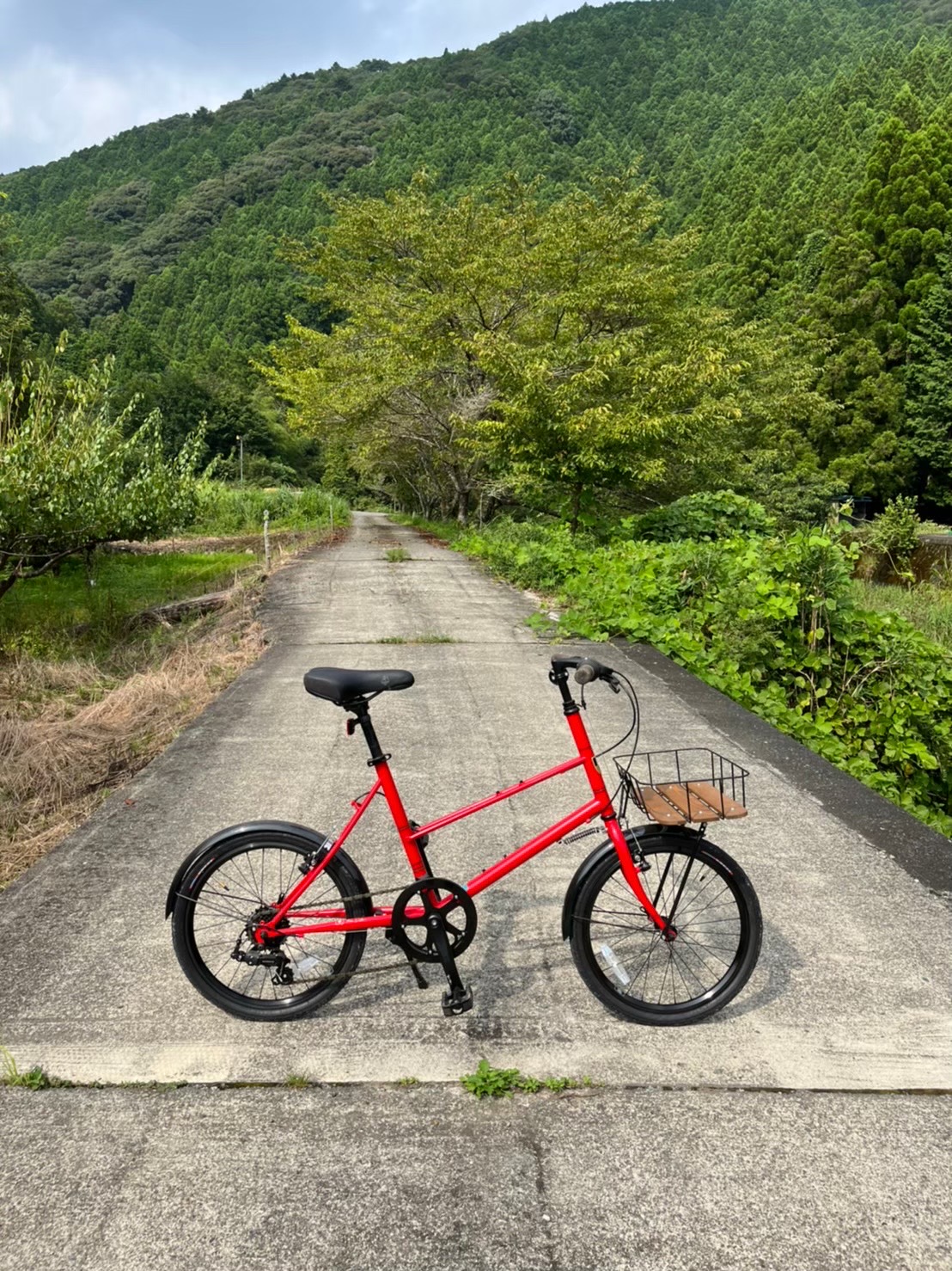原泉の風景と自転車　BRUNO MIXTE