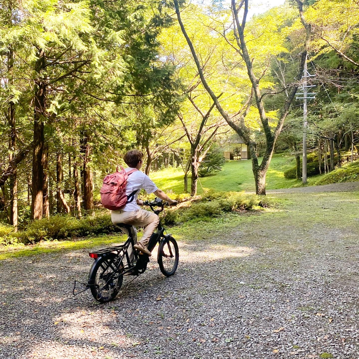 自然の中で自転車に乗る BRUNObike e-tool